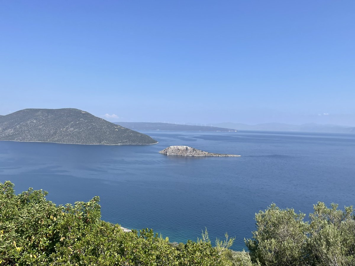 jane rees tweet media