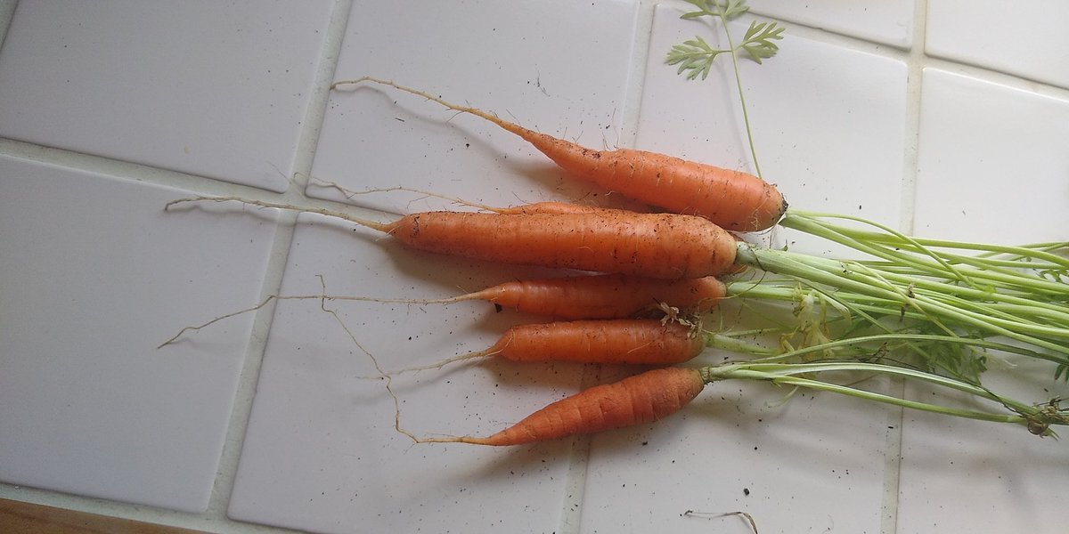 CheltIsGrowing tweet picture
