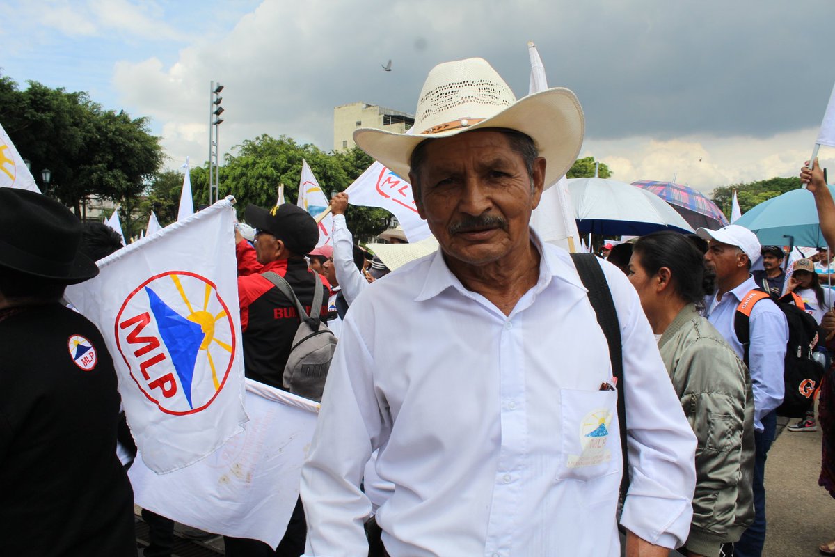 MLP Guatemala (oficial) tweet media