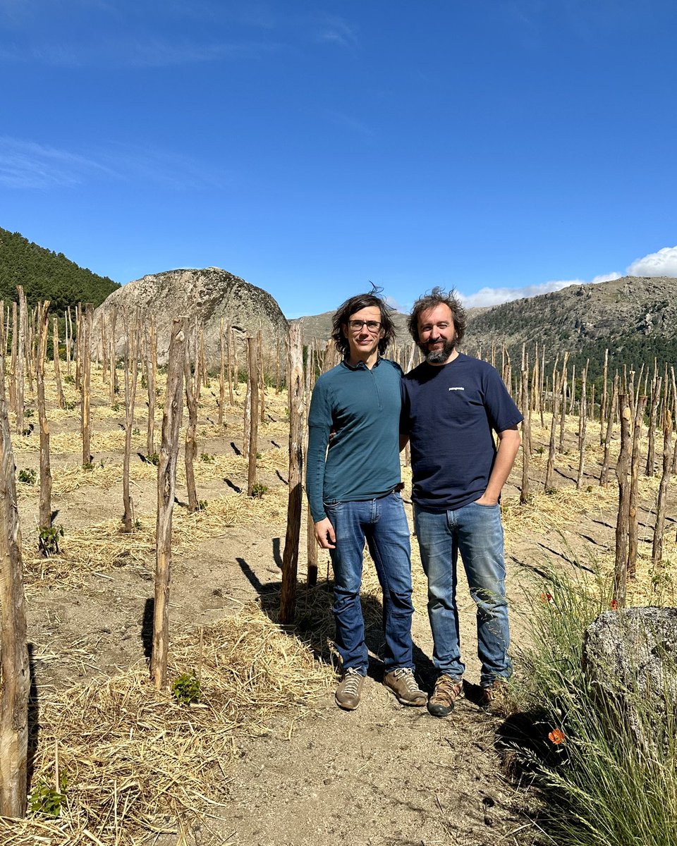 vilaviniteca's tweet photo. Comando G es el proyecto de Daniel Landi y Fernando García en la Sierra de Gredos. La cosecha 2022 la han definido como “Una añada de brillante iluminación y cielos azules, de raíz mediterránea que guarda la frescura de las montañas y la tensión de los extremos". #avan22 https://t.co/wCKi2sybkM