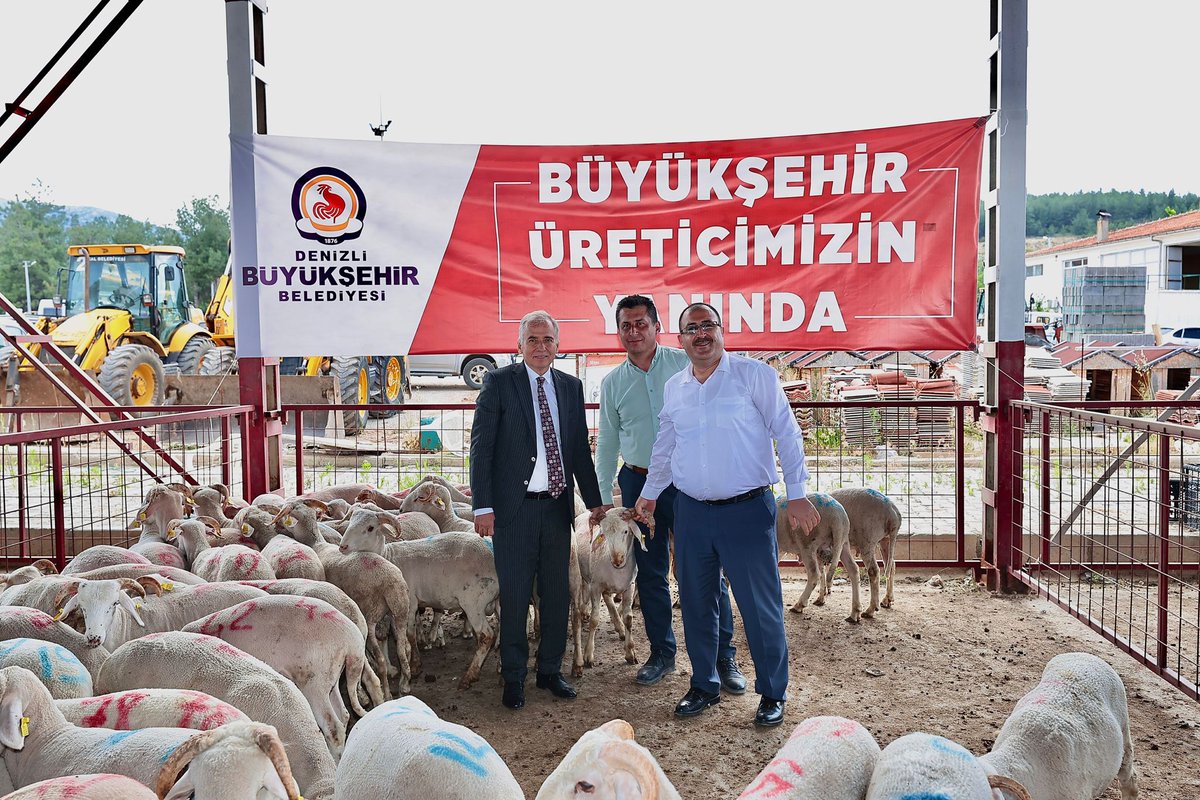 Denizli Büyükşehir Belediyesi olarak küçükbaş hayvancılıkta kalite ve verimin artması amacıyla hayvancılıkla uğraşan il genelinde 489 ailemize 978 adet damızlık koç ve teke dağıtacağız.

Bu kapsamda ilk olarak Çal ilçemizde düzenlediğimiz dağıtım töreninde Çal, Baklan, Bekilli ve…