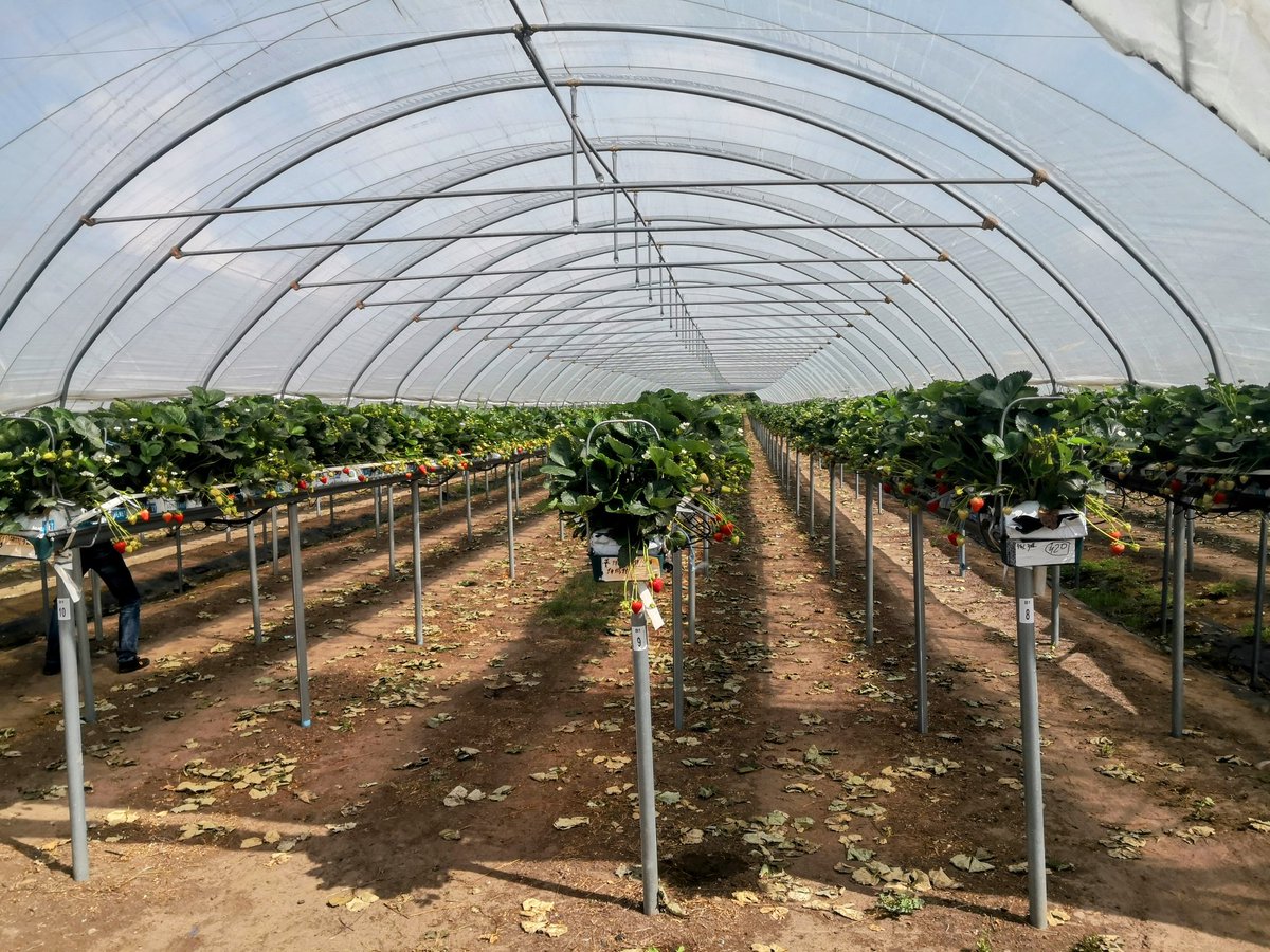 Matt Vernon tweet media