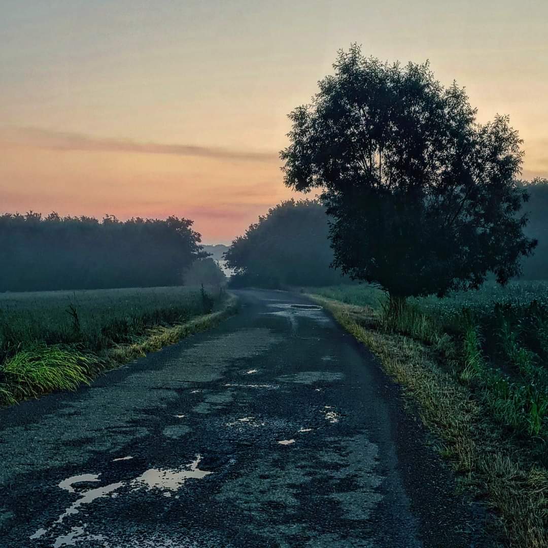Ranní Štípa k letišti
.
.
.
#Stipa #Zlín #Czechia #Zlínskýkraj #plant #sky #naturallandscape #tree #roadsurface #grassland #horizon #grass #plain #landscape #sunrise #dusk #sunset #road #hill #afterglow #forest #mist #field #lane #haze #morning #wildlife #dawn #path  #dirtroad