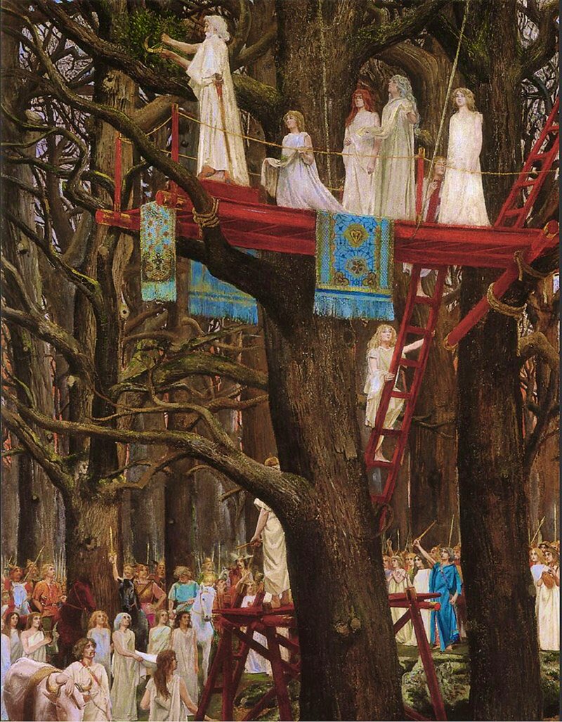 frome_maude's tweet photo. Lore has it druids, using golden sickles, cut mistletoe from oak trees in sacred rituals at #midsummer, when the plant was said to harness the soul of the oak, &amp; its powers of protection, healing &amp; fertility were at their strongest. #FolkloreThursday #FaustianFriday https://t.co/UVrSAN1Uhu