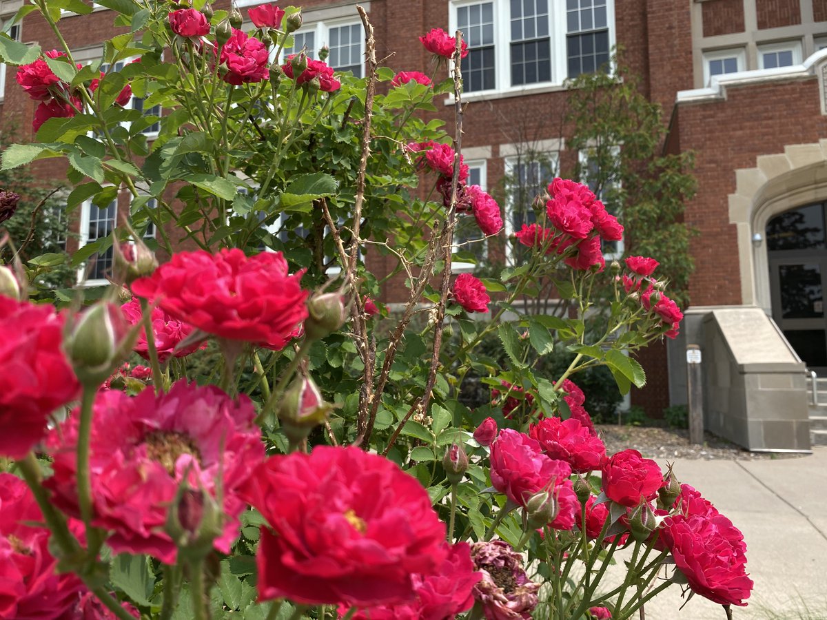 A pretty view on a warm summer day on the <a href="/UWRiverFalls/">UW-River Falls</a> campus.