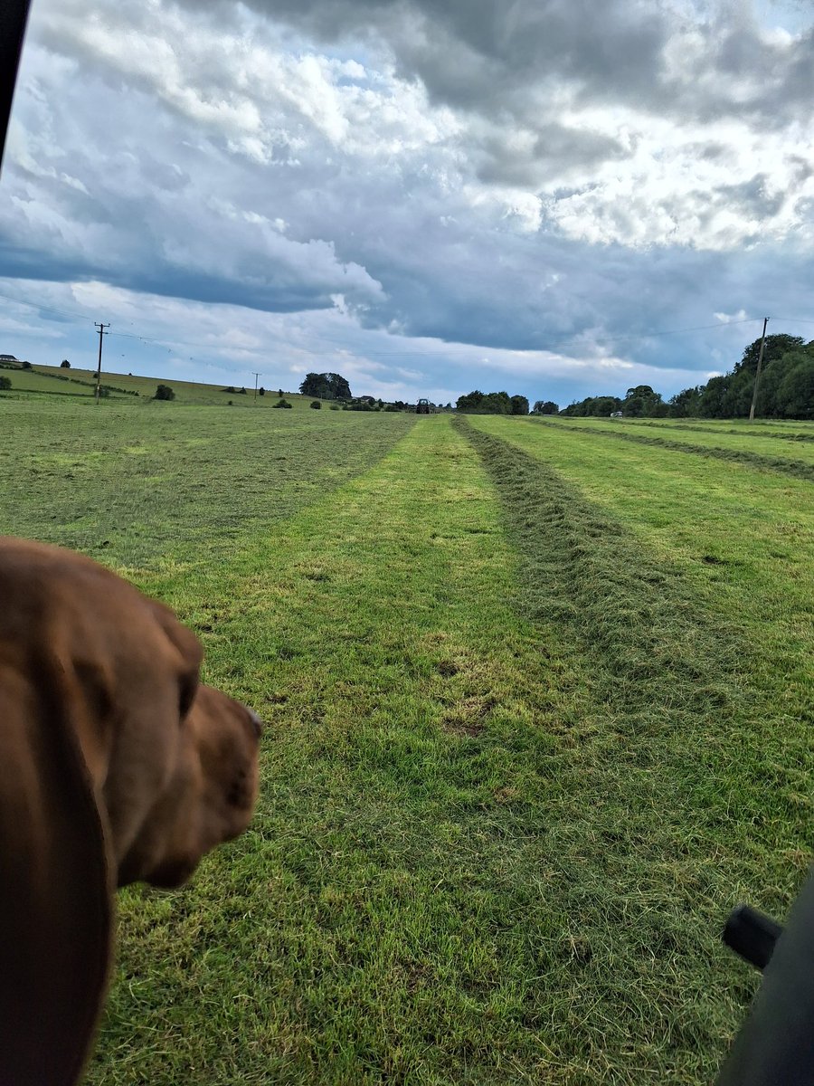 grazyfarmer's tweet photo. Ruby and I on the tidy up mission this evening. #stemeverywhere https://t.co/arvTE6bPZD