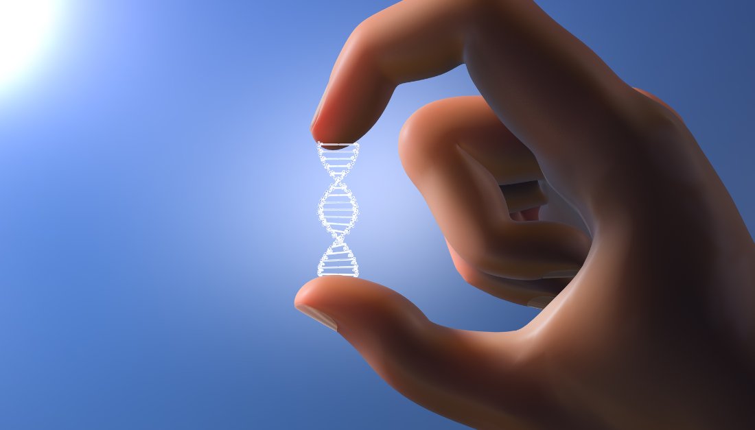 LiebertPub's tweet photo. Special Issue: #GeneTherapy for #MuscleDisorders
In this special issue of @HGTJournal, experts in the field present reviews on some of the most pressing issues and recent advances in the field. Read the full issue: https://t.co/RyEfYDbvuw https://t.co/hvSzkaxNgt