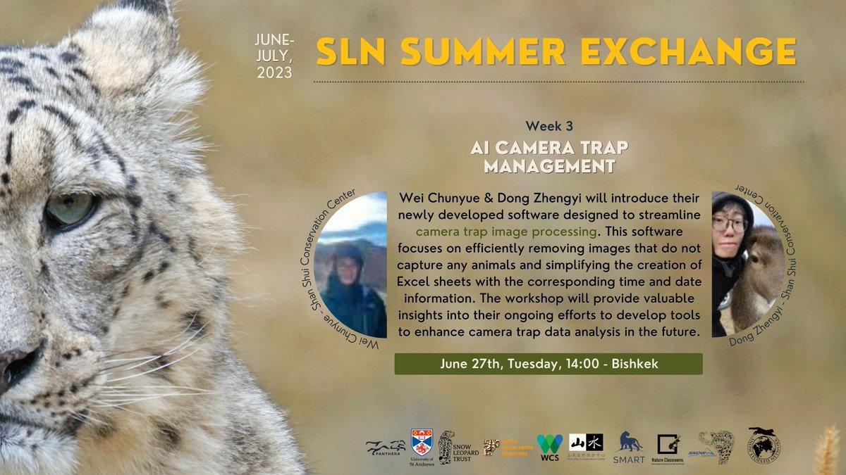 📢 Next Tuesday, 27th, Join Us for Week 3 - #SLNSummerExchange:

🖥️ AI Camera Trap Management

Wei Chunyue & Dong Zhengyi @ShanCenter will introduce how #AI can streamline #cameratrap image processing, removing non-captures, simplifying tabulation & +!

⏺️ snowleopardnetwork.org/2023/05/16/sln…