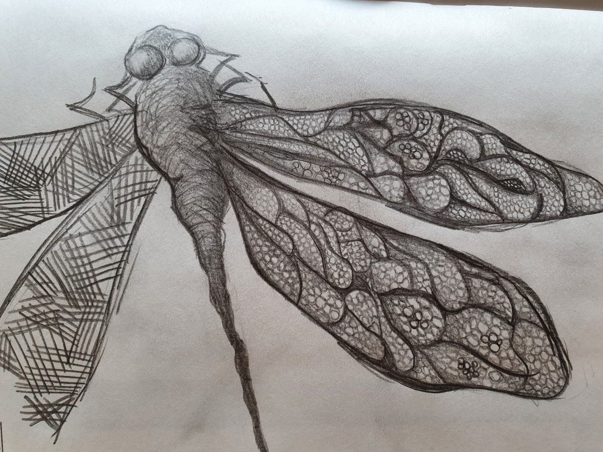 ArtBytes_'s tweet image. It&apos;s Insect Week. 
Organised by the @RoyEntSoc 
It seems a popular subject for our young artists shown by some of our entries this year from @CastlefordAcad @JBA_Live @PewseyValeSch. See all our shortlisted works in the virtual gallery on our website.
#Artbytes
#InsectWeek23