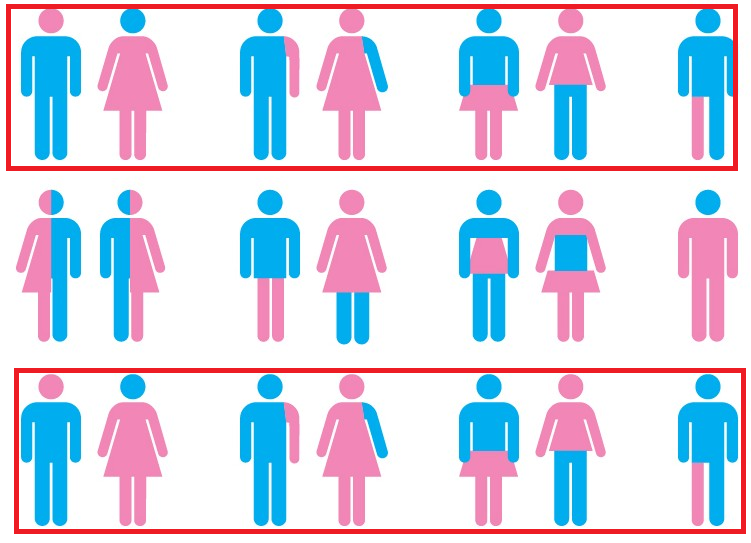 DomMystique's tweet photo. @Terror_Alarm There are indeed many genders if you count them twice. https://t.co/CxL3K0iz54