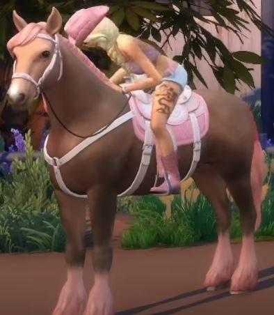 BARBIE X THE SIMS 4 HORSE RANCH