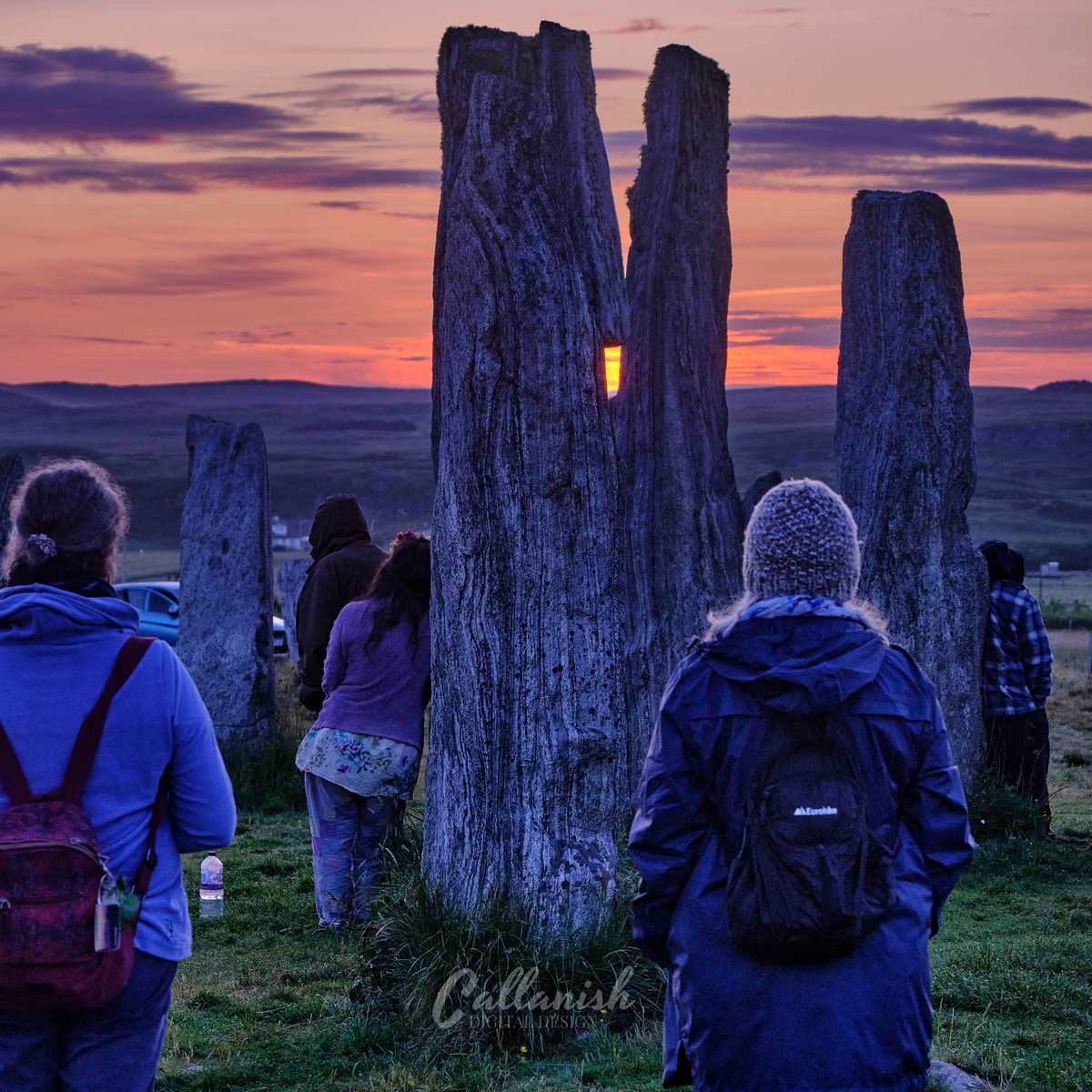 CallanishDigitalDesign tweet media