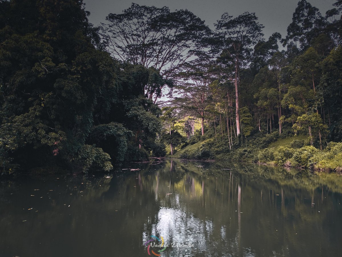 මේකෙන් තමයි ලංකාවෙ පලවෙනි විදුලි බලාගාරෙට වතුර දෙන්නෙ හැබැයි කවුරුත් ඒක දන්නෙ නෑ එහෙම බලාගාරයක් ගැනවත් මොකද ඒක කහවත්ත වැවිලි සමාගමේ පෞද්ගලික වත්තක කර්මාන්තශාලවට හා නිල නිවාස වලට විදුලිය දෙන්න හදපු එකක් 🌝🌝