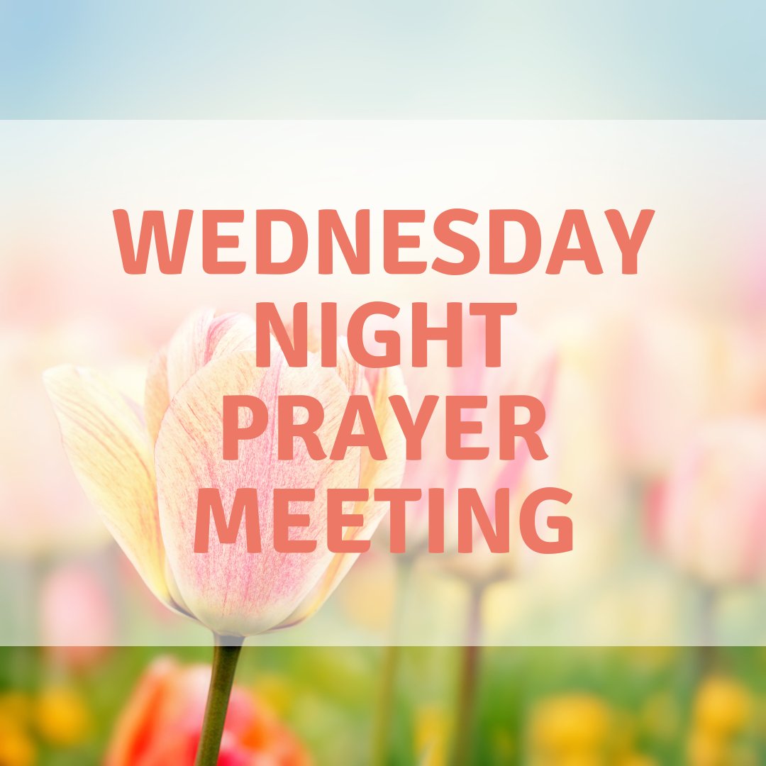 GraceChapelWL's tweet photo. Wednesday's Prayer Meeting is now available on our website
https://t.co/qsK0UUYs4c
#Wednesday #Prayer #WestLiberty https://t.co/3hKBBBlBrD