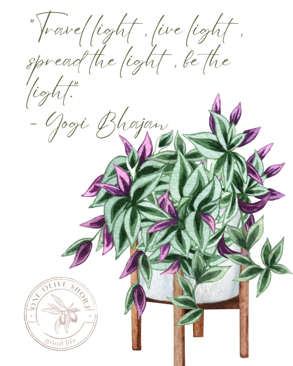 OneOliveShort's tweet photo. ππππππ α²πΎ πΙ¦πΎ α₯£ππΙ¦π πΏπ
#discovery #positivity #selfcare #mindfulness #livelife #practicegratitude #perfectlyimperfect #bekind #liftoneanotherup #staypresent #bethelight https://t.co/w9IjgTuyfy