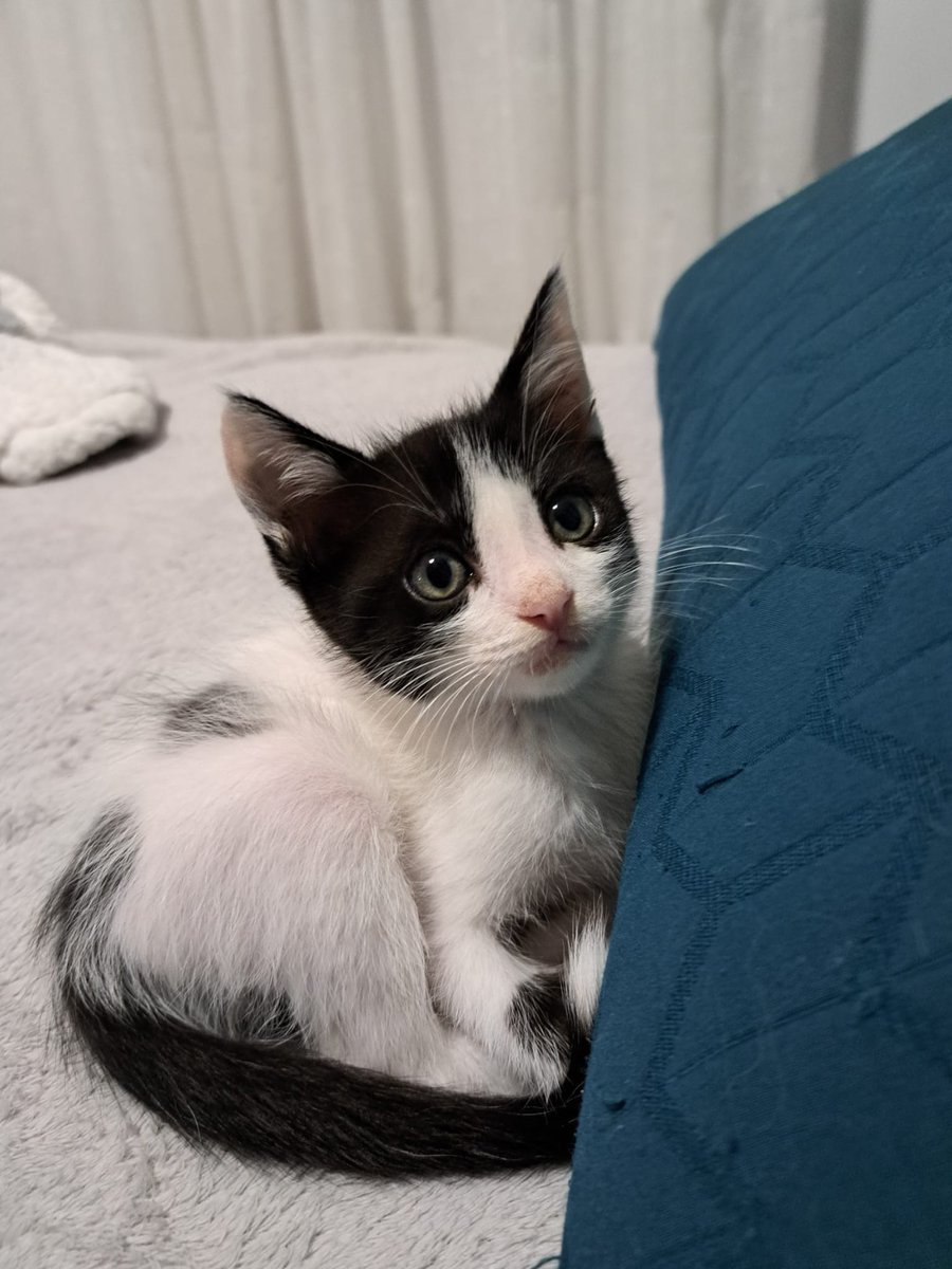 Mirad esta vaquita tan bonita, pero qué bonito ❤️
Pueblo de Cádiz
618208620
📢 📢 📢 📢 📢 📢 📢 📢