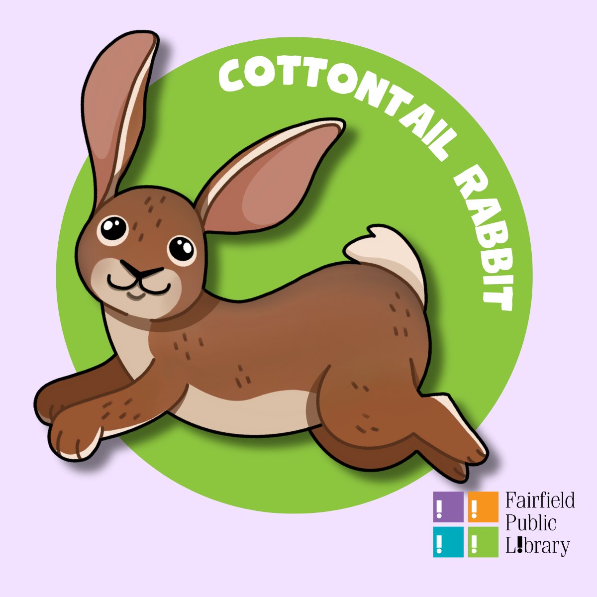 FairfieldPubLib's tweet photo. Fairfield Public Library is on the search for a new mascot! We have narrowed it down to our top three choices. Visit the downtown Main Library or Woods Branch Library and cast your vote for a library mascot. We can't wait to see which you choose! #findyourvoice #fairfieldct https://t.co/koqCuay4yk