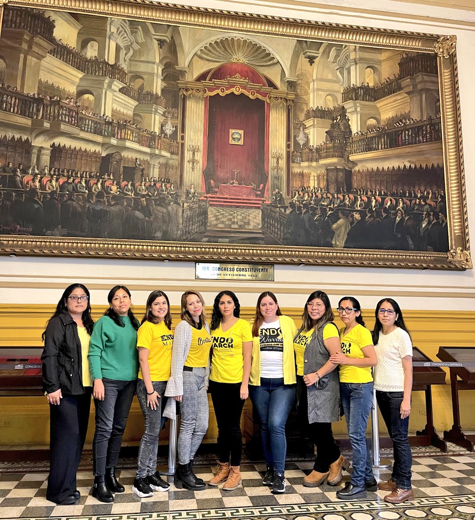 endoteamperu's tweet photo. Estamos presentes en el congreso. Nuestra comitiva esta esperando que @congresoperu pueda debatir en pleno el proyecto #LeyEndometriosisPeru de la congresista @LadyCamones Pedimos al presidente @jwilliamszapata que nos considere en el debate, somos más de 2 millones de mujeres 💪 https://t.co/028sXOgUI3