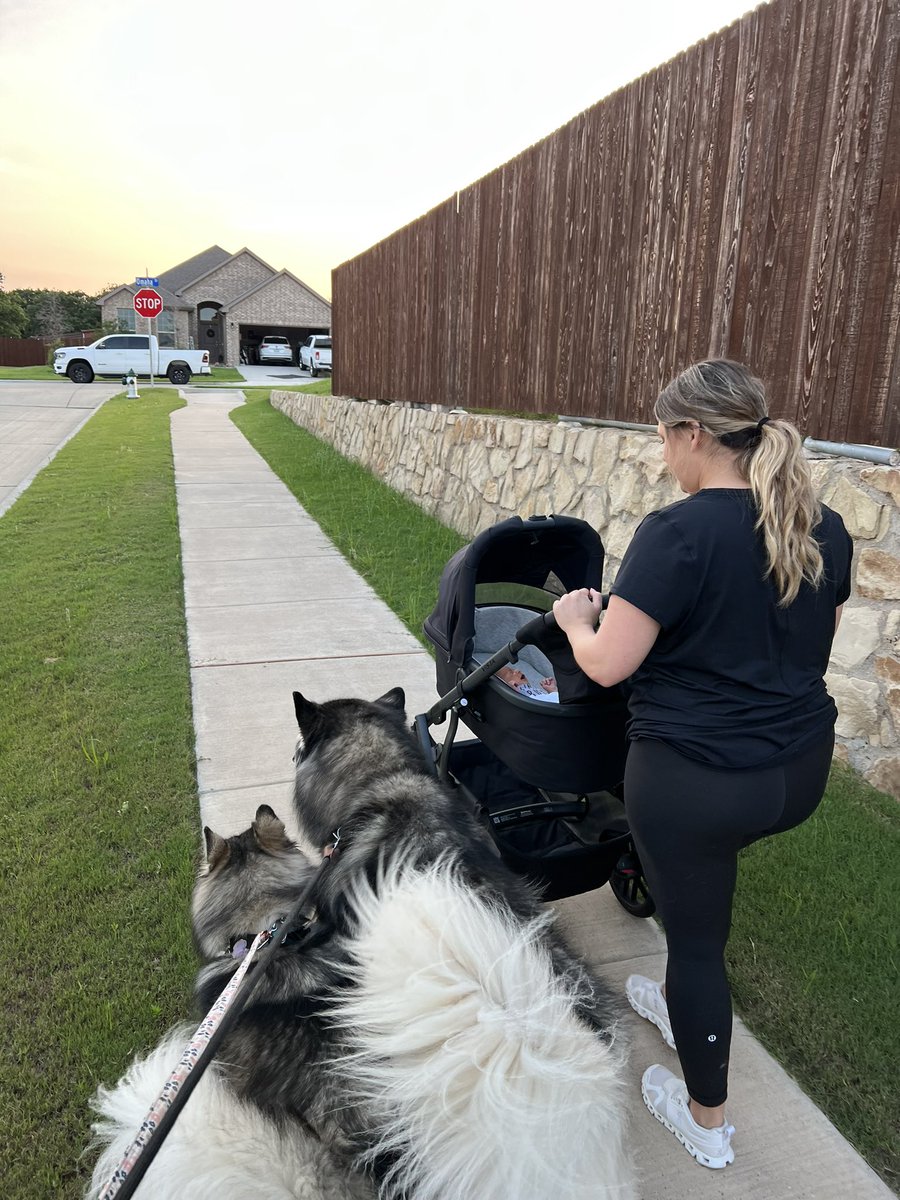 CT__19's tweet photo. Family walks are a little different now ❤️ https://t.co/ewqUXxRfeL