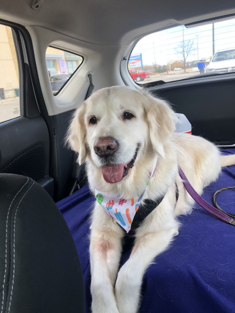 Jackie Crawford tweet media