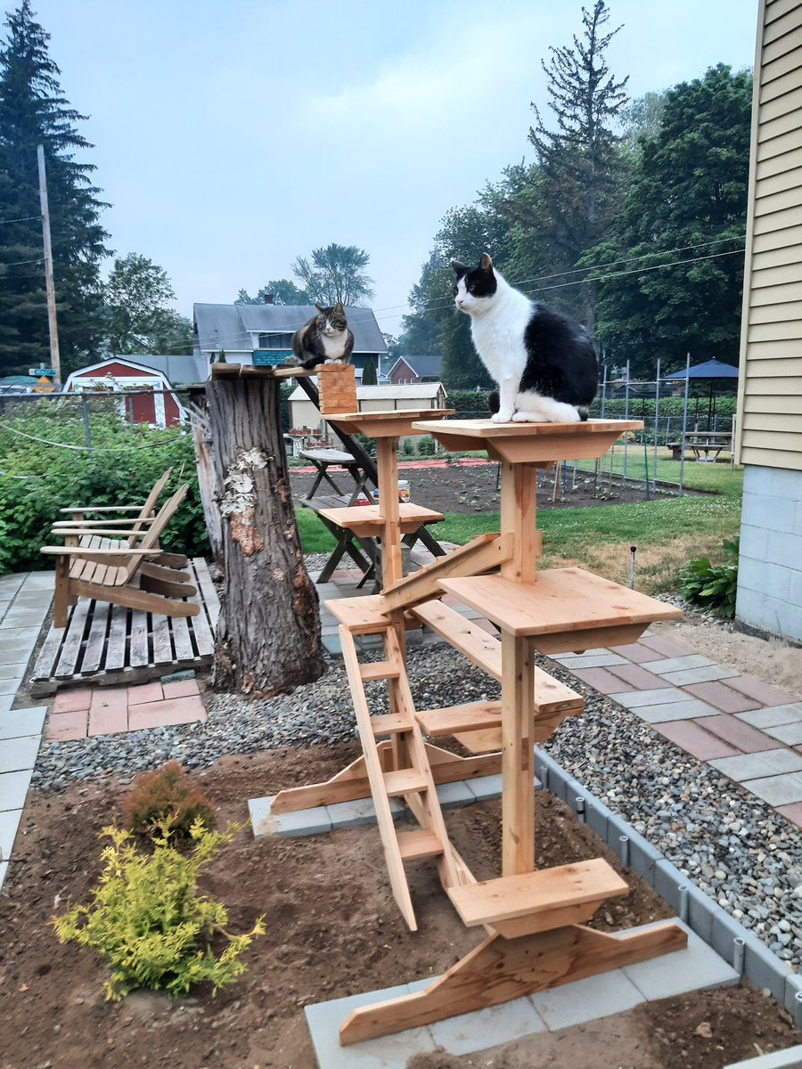 PetClassics's tweet photo. The Cedar Cat Gym!

https://t.co/HkQLuNor7h

#Cat #catlovers #catlife #catgym #outdoorcat https://t.co/pUSwYp4Efo