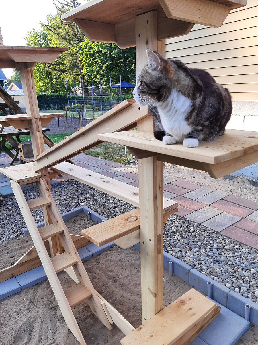 PetClassics's tweet photo. The Cedar Cat Gym!

https://t.co/HkQLuNor7h

#Cat #catlovers #catlife #catgym #outdoorcat https://t.co/pUSwYp4Efo