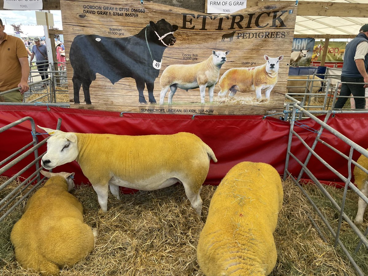 Miss Miller tweet media