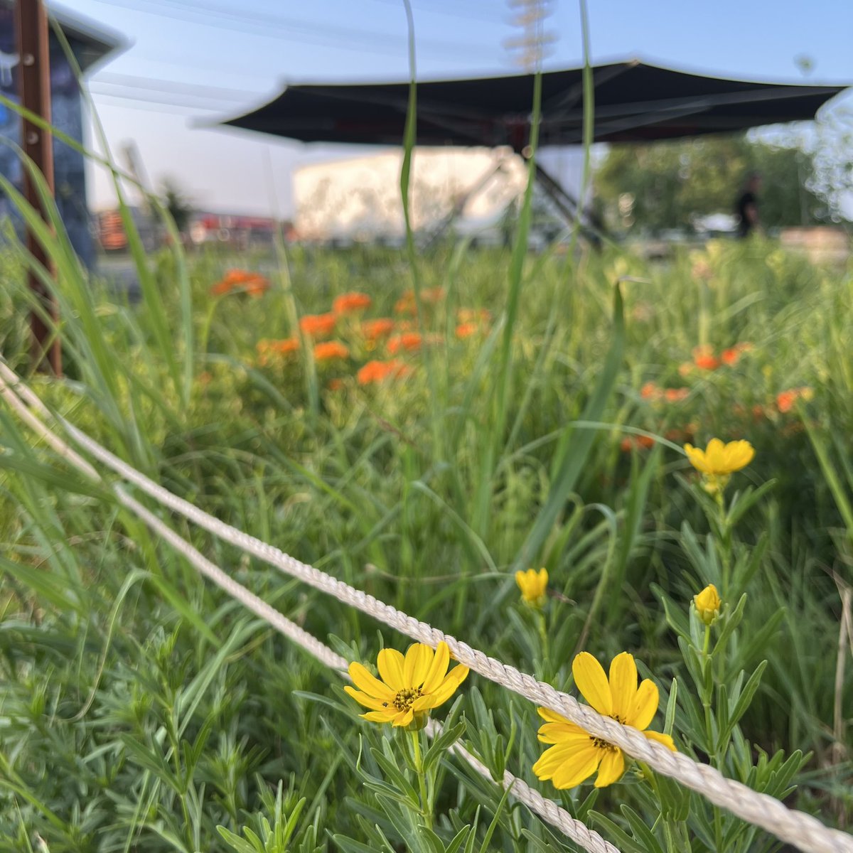 Bang Brewing tweet media