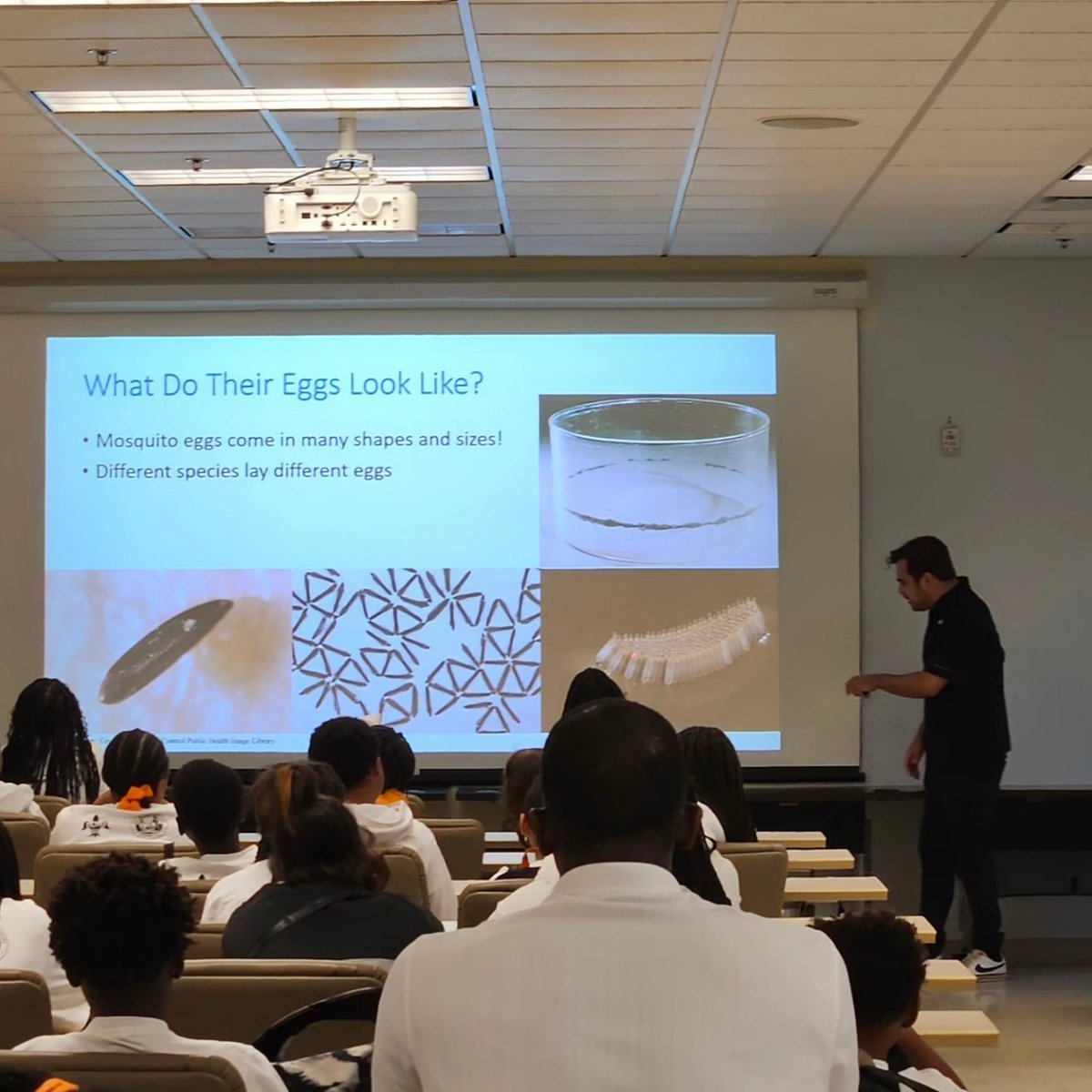 NolaMosquito's tweet photo. Today, we are excited to host campers from @NORDCommission at our Administration Building. The campers were able to spend time with each division learning all about Mosquitoes, Termites, and Rodents. #MosquitoControlAwarenessWeek https://t.co/hvuBg7tRu8