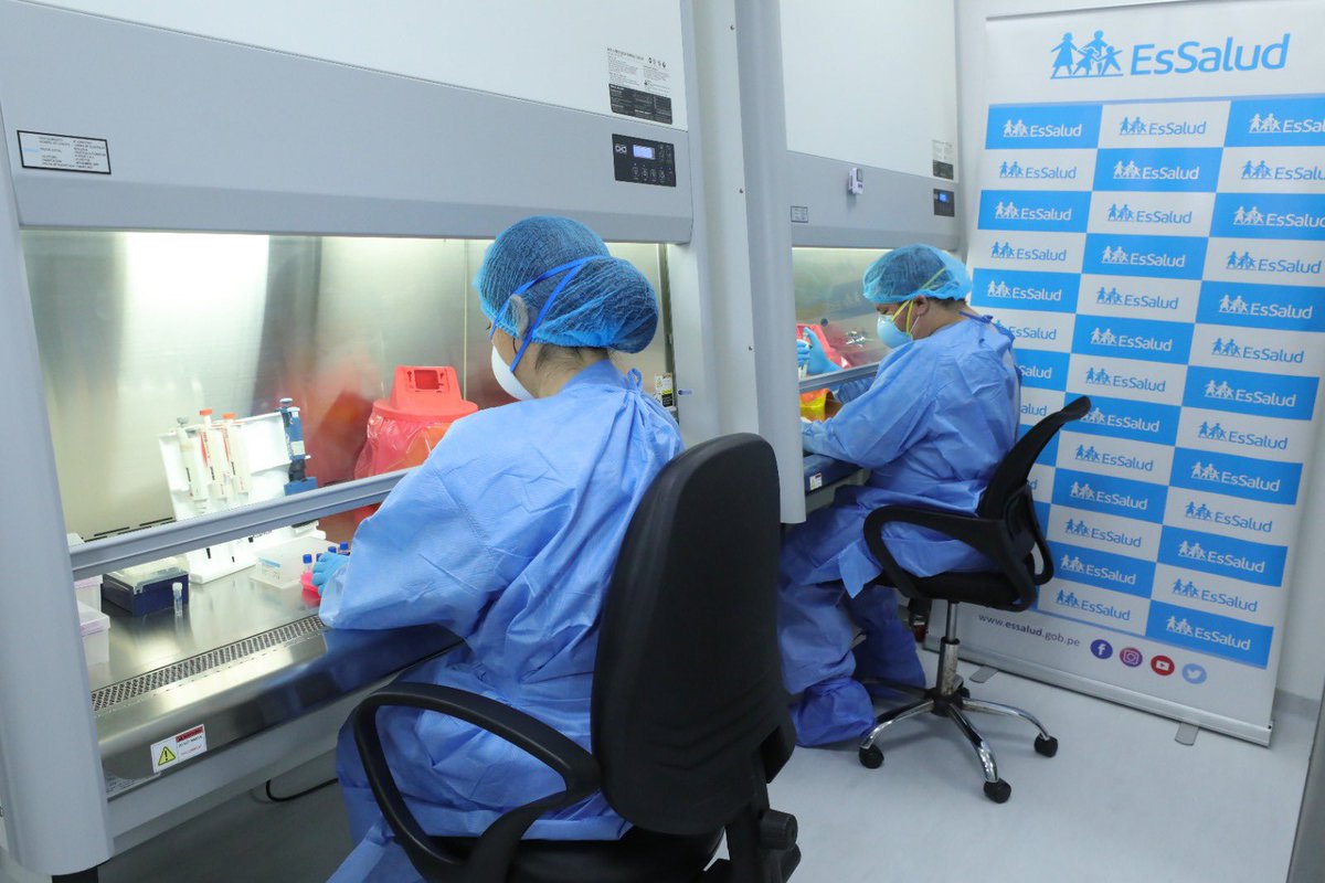 EsSaludPeru's tweet photo. #EsSalud diagnostica dengue, zika y chikungunya en solo dos horas, gracias a implementación de moderno laboratorio molecular en el hospital Rebagliati.
📌En su primera etapa procesará 1 500 pruebas mensuales, luego recibirá muestras de todo el país. 
👉 https://t.co/5Ke23Vs3aS https://t.co/IkOvgsZ2vA