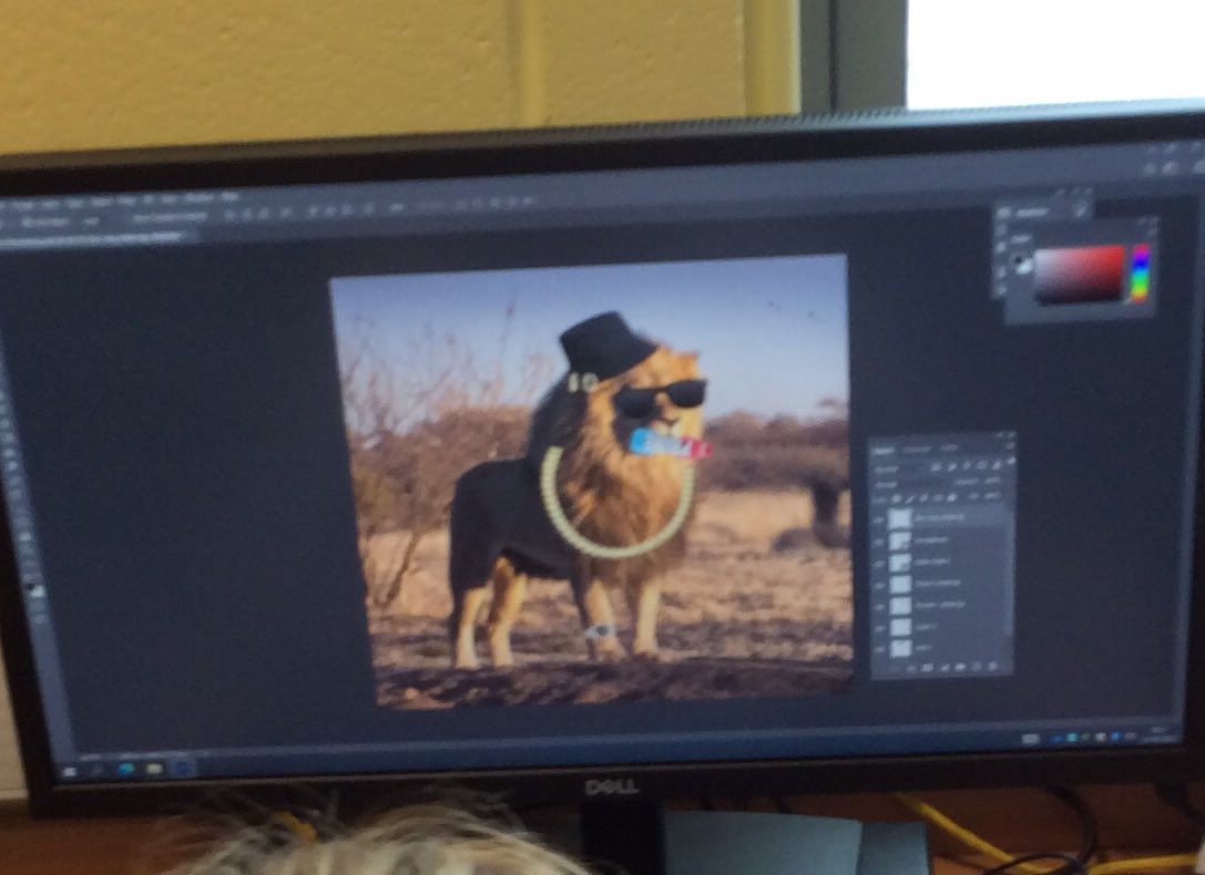 Our Lady & St Joseph's Primary School tweet media