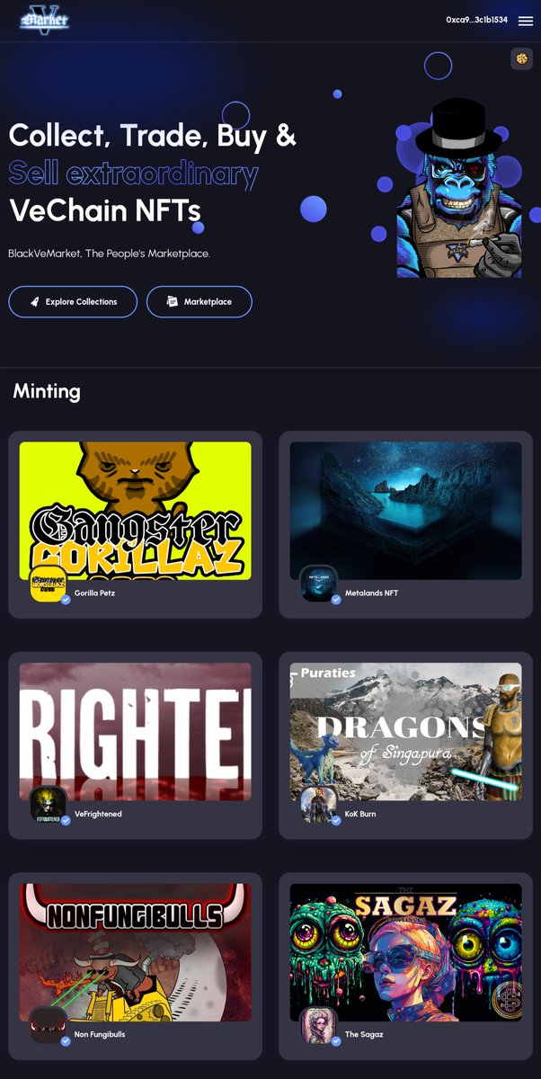 VeFrightened's tweet photo. With @BlackVeMarket busy building, I can now proudly present us being on the main page!!! 🥳

Visit https://t.co/0z7W4AtaLX and you will see the link to our dApp 🔥🔥🔥

Thank you @MurtaghThe2nd &amp; @FingaBanga420 for doing an amazing job 🍻

#vechain #vefam #MintingNow https://t.co/xdULtExIyq