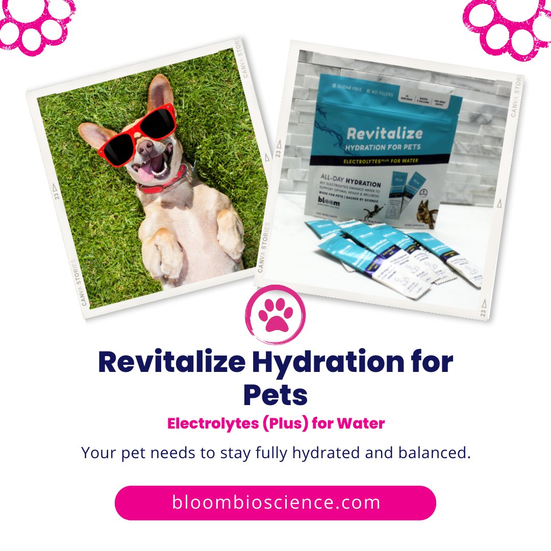 bloom4pets's tweet photo. Revitalize Hydration is the ultimate boost for your pet's well-being! πΎπ¦ With its expertly balanced blend of essential electrolytes like potassium, bicarbonate, MSM, and taurine, it provides the perfect recipe for optimal hydration and cardiovascular support.
#bloombioscience https://t.co/yJyEtOIgIw