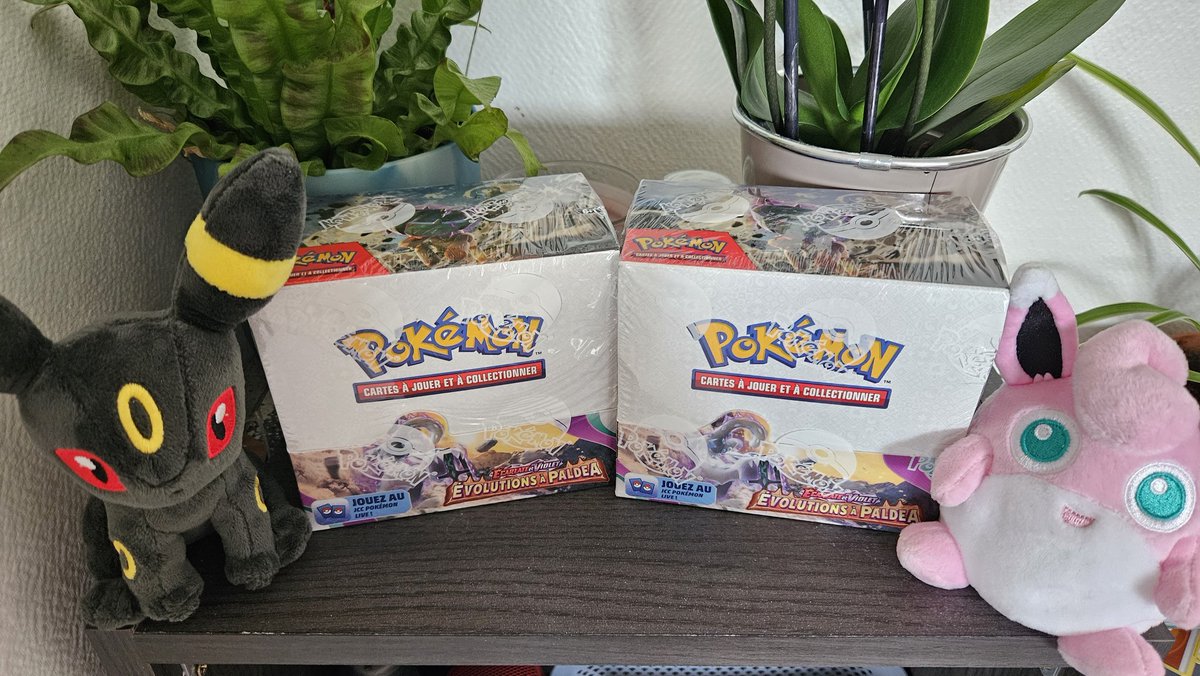 SiteEternia's tweet photo. On a reçu ces deux belles displays de #EvolutionAPaldea de notre partenaire @lapokeboutique ! On s'en ouvre une en, live samedi soir, dur Twitch, à 21h30 ! Et l'autre ? Elle sera pour vous !... 👀 #JCCPokemon #PokemonTCG https://t.co/3MR0y5WuMr