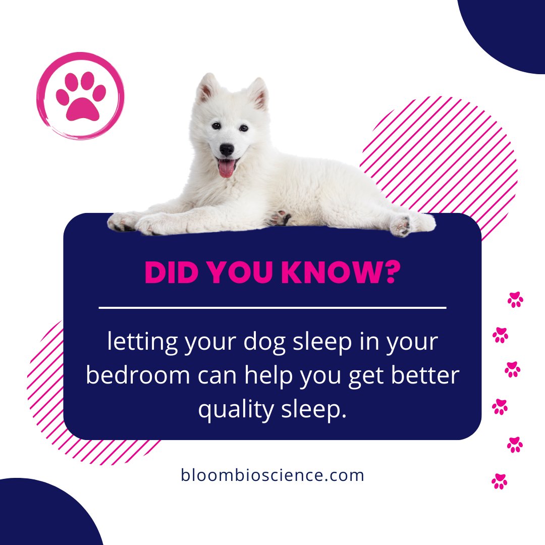bloom4pets's tweet photo. Did you know that having your dog sleep in your bedroom can actually improve the quality of your sleep? It may sound surprising, but studies have shown that allowing your furry friend to share your sleeping space can have several benefits.
#bloombioscience #SleepingBuddies https://t.co/KMnDlT8dHS