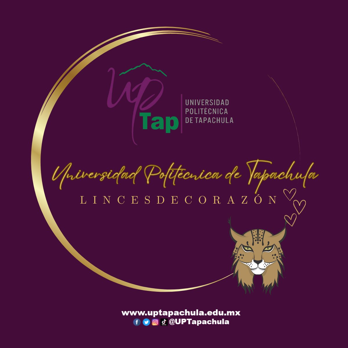 UPTapachula's tweet photo. Soy Orgullosamente Lince de la Universidad Politรฉcnica de Tapachula.๐คฉ
Linces de corazรณn.๐
#Orgullosamentelinces #Linces #Uptap #Somosuptap #TapachulaChiapas #PolitรฉcnicadeTapachula https://t.co/17pDzZNLQc