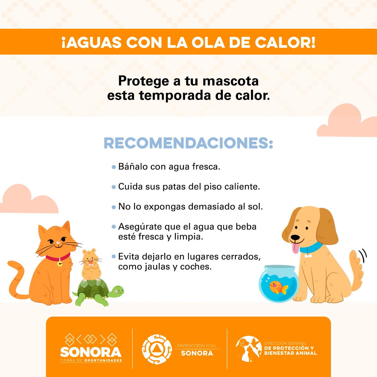 🟠 Recuerda también proteger a las mascotas ante la ola de calor en #Sonora.

#CompromisosFirmes #TierraDeOportunidades