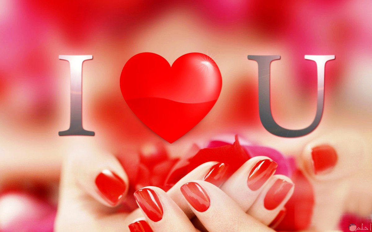 @apqyyu تسلمين ي روح الروح ♥️♥️♥️
فديتك ي أجمل ناسي 🥰🫶🥰🫶

        #المها