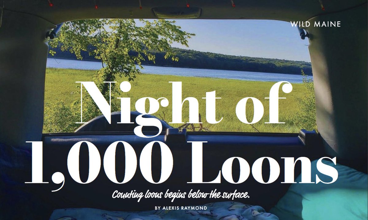 Dive into our latest issue with the short story “Night of 1,000 Loons.” 

Summerguide 2023 is on shelves and online now! 

#maine #loons #summerinmaine #vacationland #portlandme