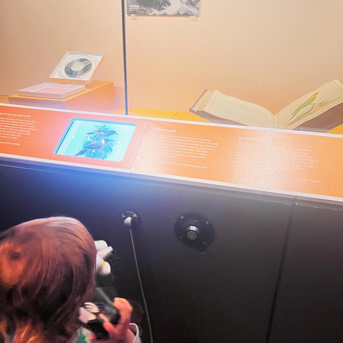 School of Noise (@schoolofnoise) on Twitter photo “I’m doing my work daddy” he said, so proud! But when I wanted to listen the typical toddler reply was “no daddy it’s my work, not your work!” 🎧
We both however really enjoyed visiting the <a href="/britishlibrary/">British Library</a> <a href="/BLSoundHeritage/">BL Sound Heritage</a> Animals: Art, Science and Sound exhibition 🐾🪰🐋🦇🪶 “I’m doing my work daddy” he said, so proud! But when I wanted to listen the typical toddler reply was “no daddy it’s my work, not your work!” 🎧
We both however really enjoyed visiting the <a href="/britishlibrary/">British Library</a> <a href="/BLSoundHeritage/">BL Sound Heritage</a> Animals: Art, Science and Sound exhibition 🐾🪰🐋🦇🪶