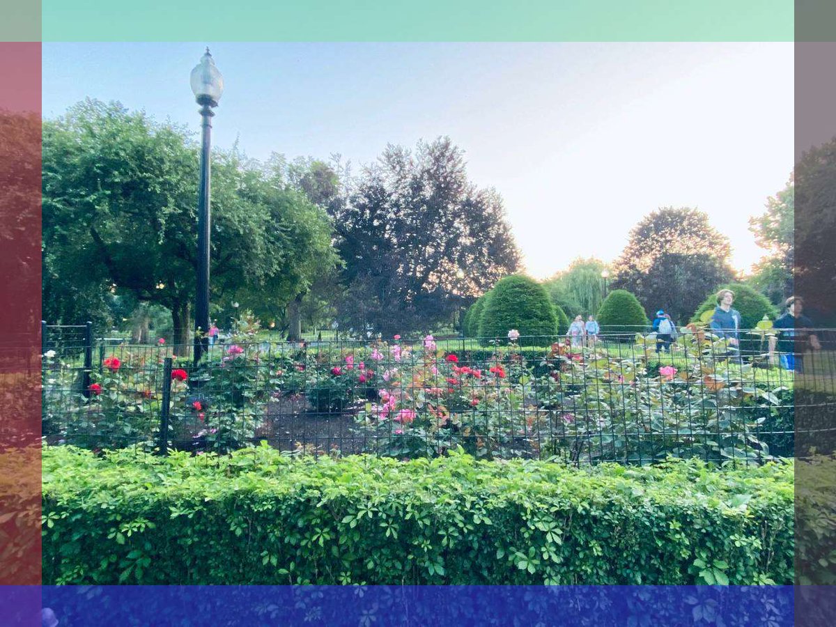 Slushet26785's tweet image. so, what's love