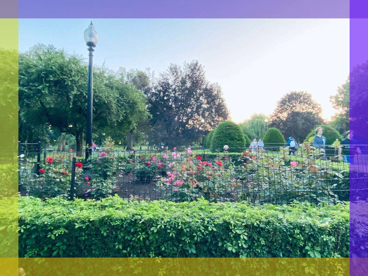 MNithe98009's tweet image. so, what's love