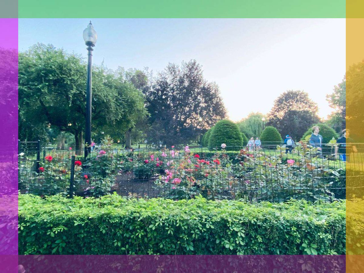 Setecki190504's tweet image. so, what's love