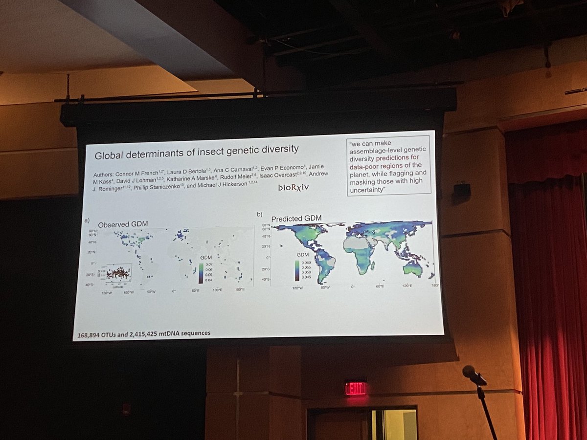 Rilquer's tweet photo. Shout out to @frog_phylo’s pre-print being brought up in the Comp. Phylo symposium at #Evol1023 for its important contribution to the field of #macrogenetics. Def go check it out: https://t.co/wAIH9ObrTh https://t.co/1VKZZhMHtG