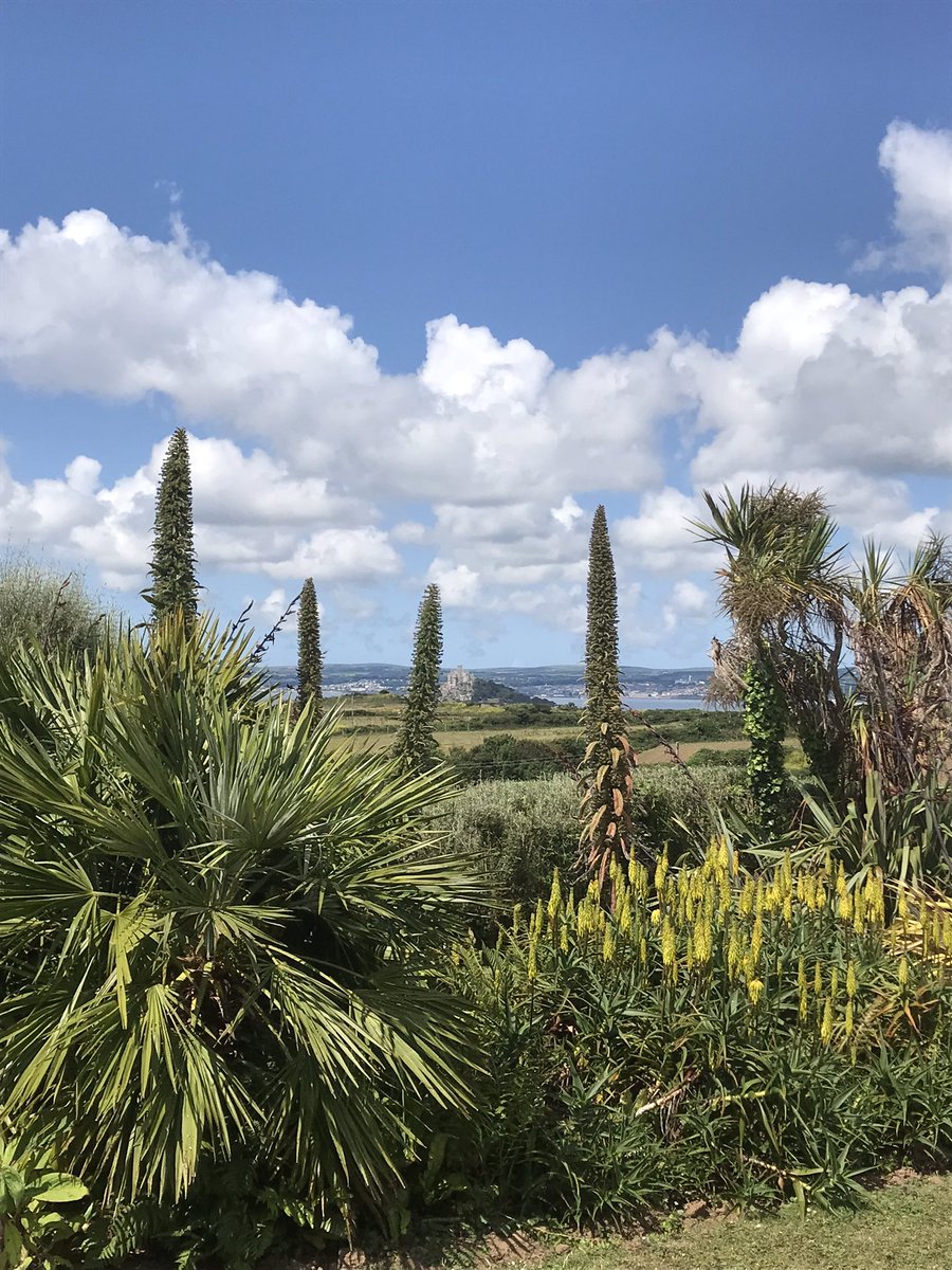 ednoveanfarm's tweet image. Sunshine and summertime views from our #garden #stmichealsmount #cornwall #mountsbay