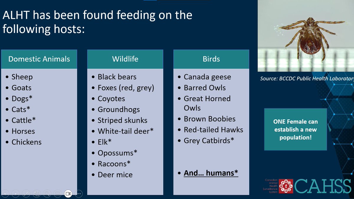 Canadian Animal Health Surveillance System 🇨🇦 tweet media