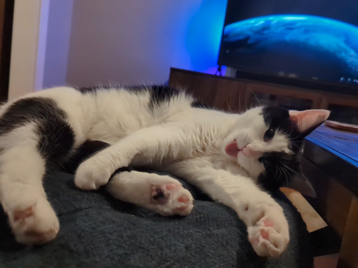 Grey Meta tweet media