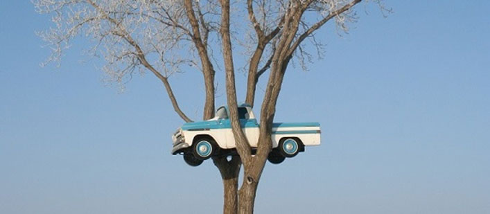Murph_Andy's tweet image. AD leveled up his dad game this week by getting three things stuck in one tree at the same time; a boomerang, soccer ball, and a baseball. 

Have any good stories of getting things stuck in a tree? Tag with #Treed