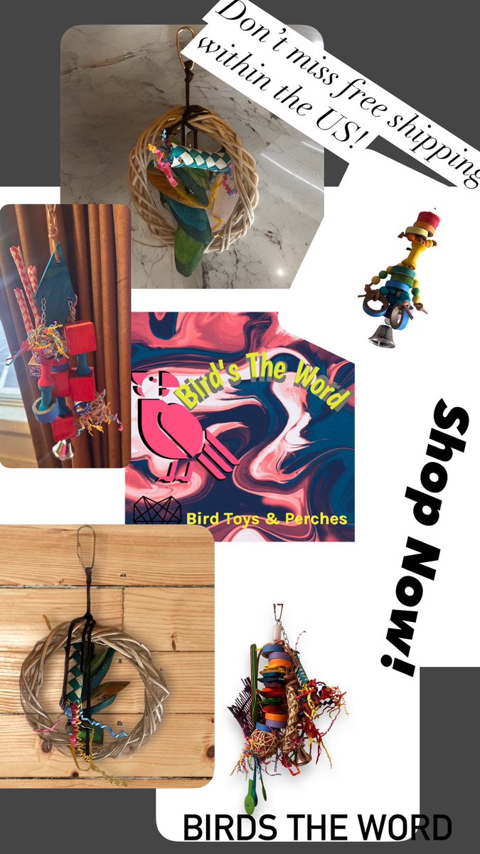 BirdsTheWord92's tweet photo. Place your order today!
https://t.co/dVgYQY2O7w https://t.co/5ouCLnI7SJ