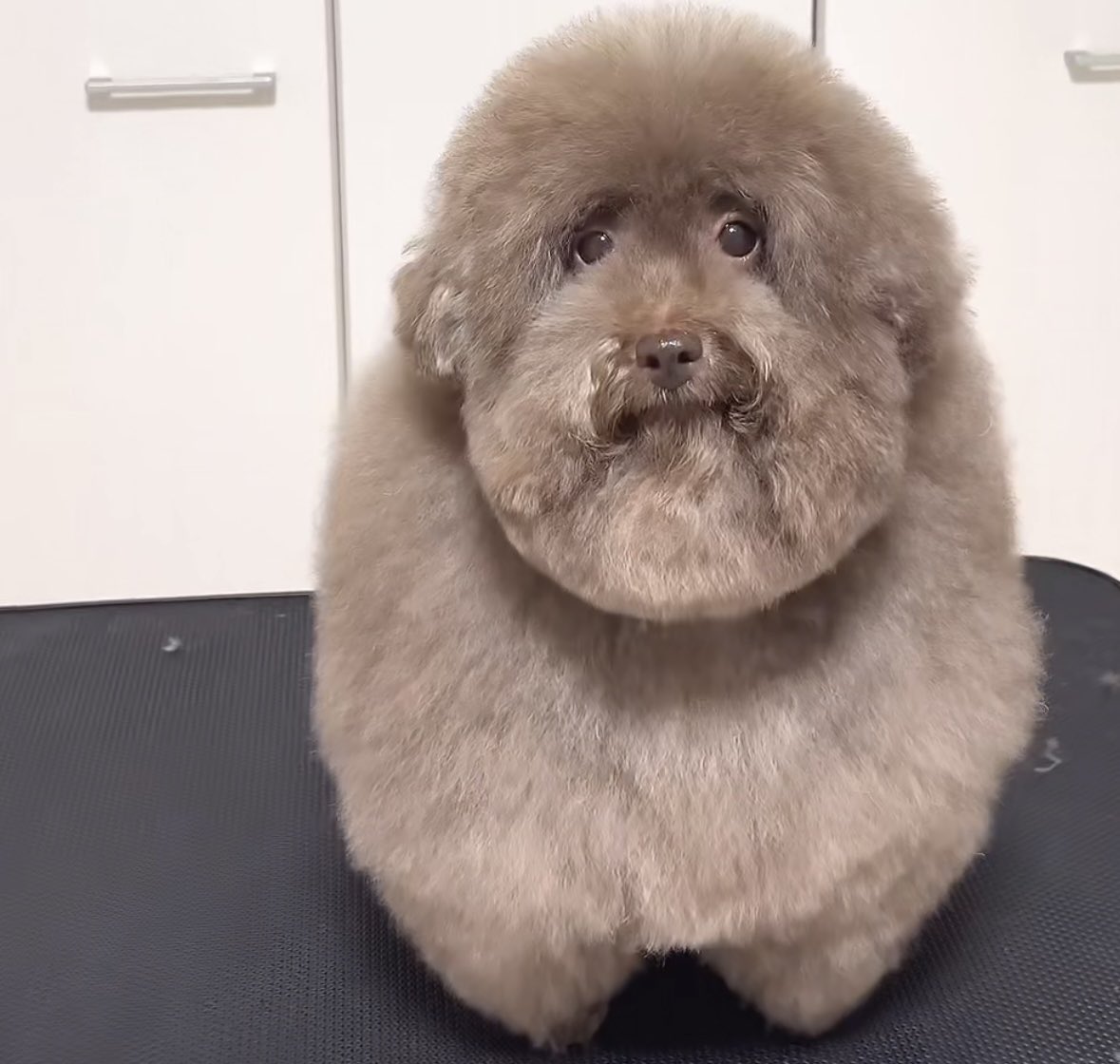 𓆩♡𓆪 tweet media